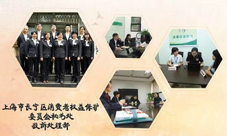 模子 他们都是长宁的模子 看看有你认识的吗